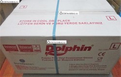 DOLPHİN VİNYL ELDİVEN PUDRASIZ ( L ) - Thumbnail